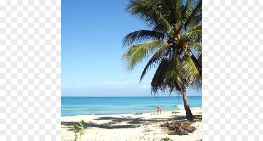Beach Playa Caleta Vacation Hotel Package Tour PNG