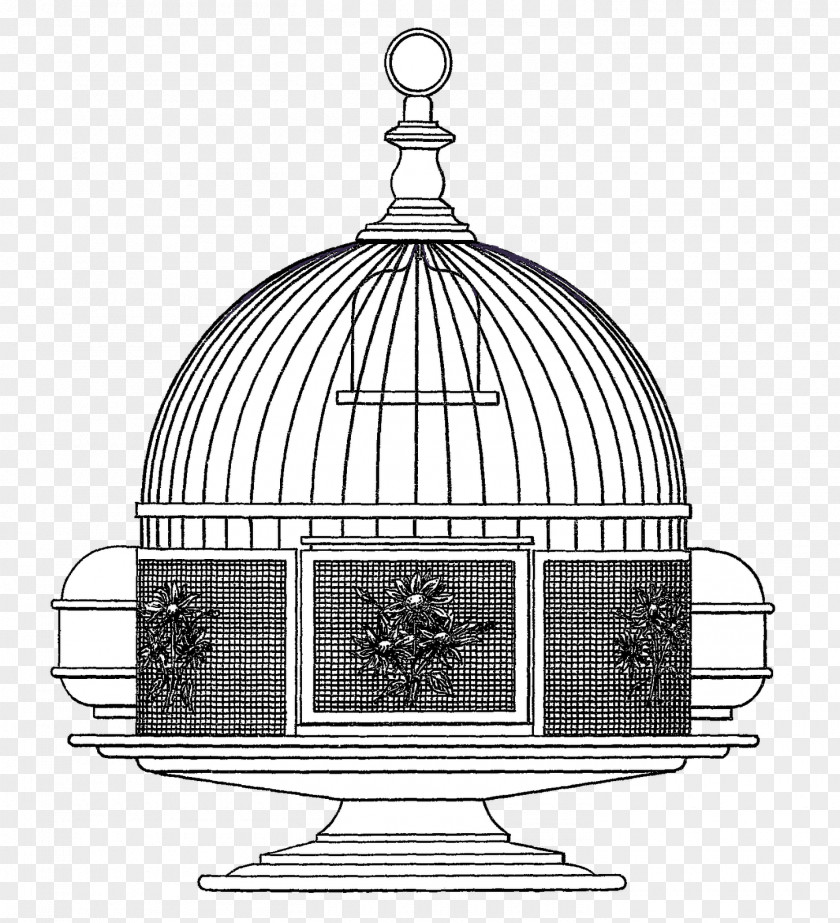 Birdcage Monochrome Photography Black And White Cage PNG