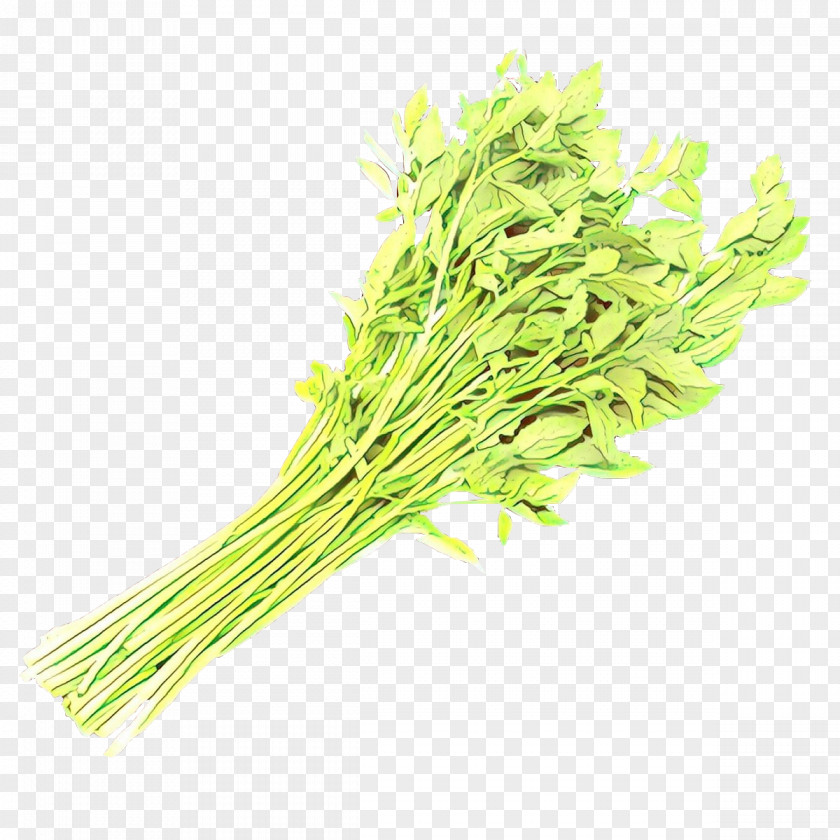 Chives Chinese Celery Cartoon Grass PNG