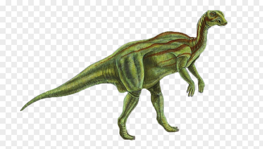 Dinosaur Gryposaurus Fabrosaurus Late Cretaceous Garudimimus Santonian PNG