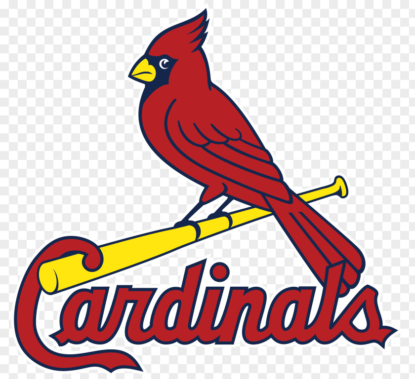 Street St. Louis Cardinals MLB Palm Beach Baseball PNG