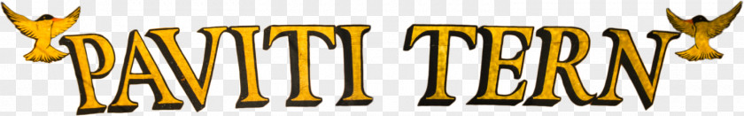 Tern Logo Brand Desktop Wallpaper PNG