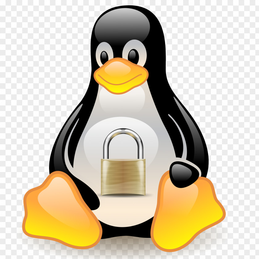 Secure Tux Racer Linux Distribution Penguin PNG