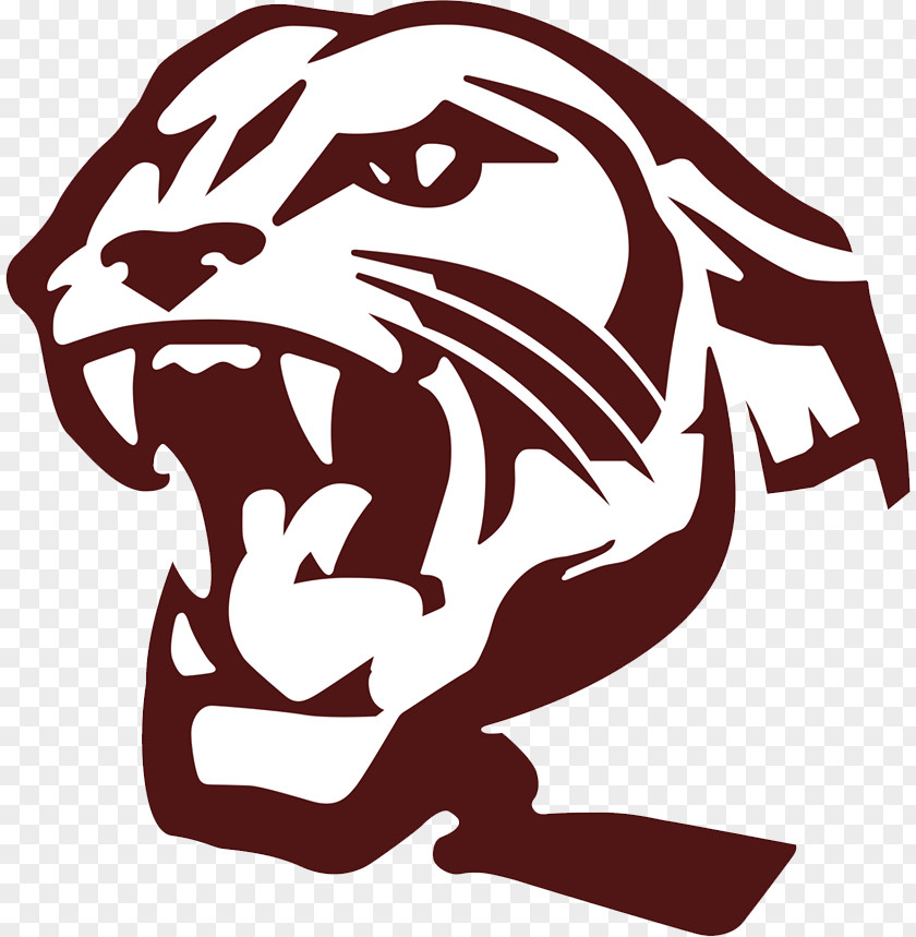 Dary Banner Carolina Panthers Benton High School Siloam Springs Sports Panthera PNG