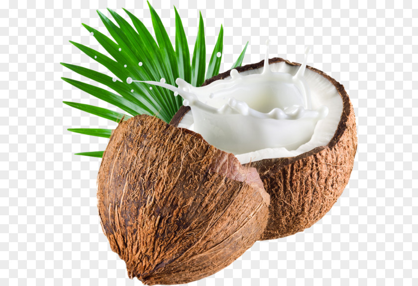 Milk Splash Coconut Soy Organic Food PNG