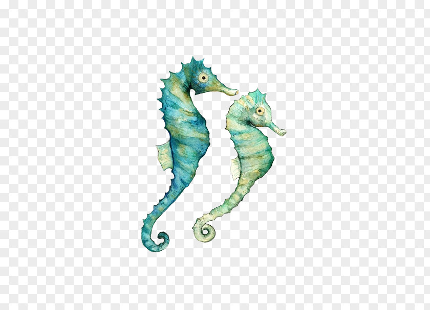 Seahorse Watercolor Painting Art PNG