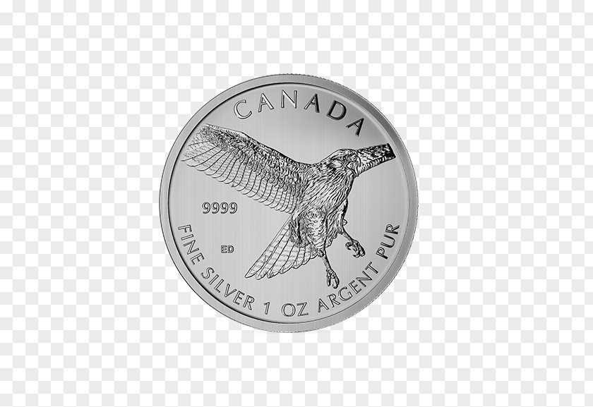 Silver Coin Royal Canadian Mint Maple Leaf PNG