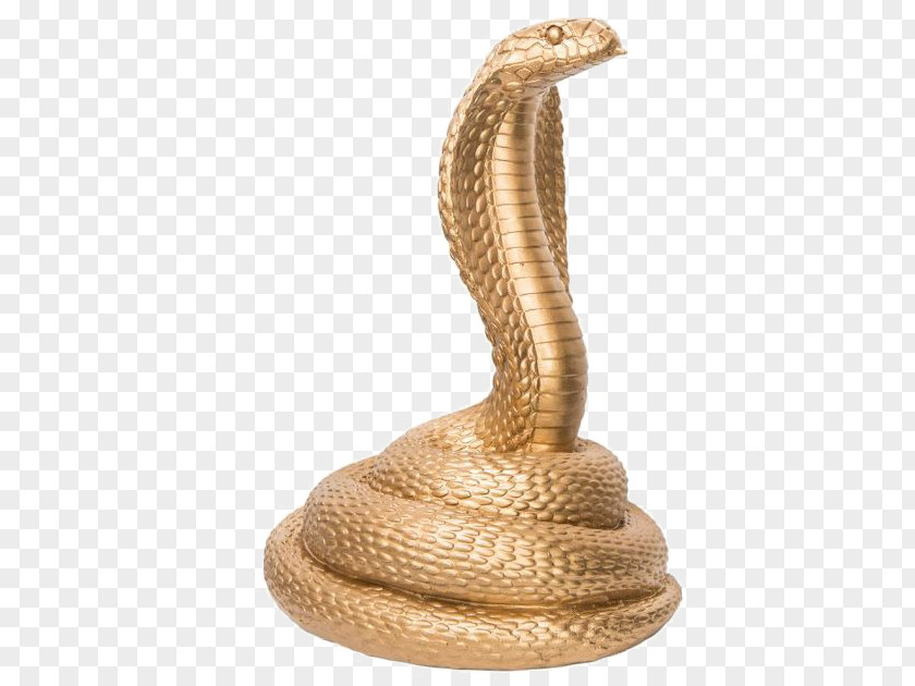 Snake Cobra Snakes King Image PNG