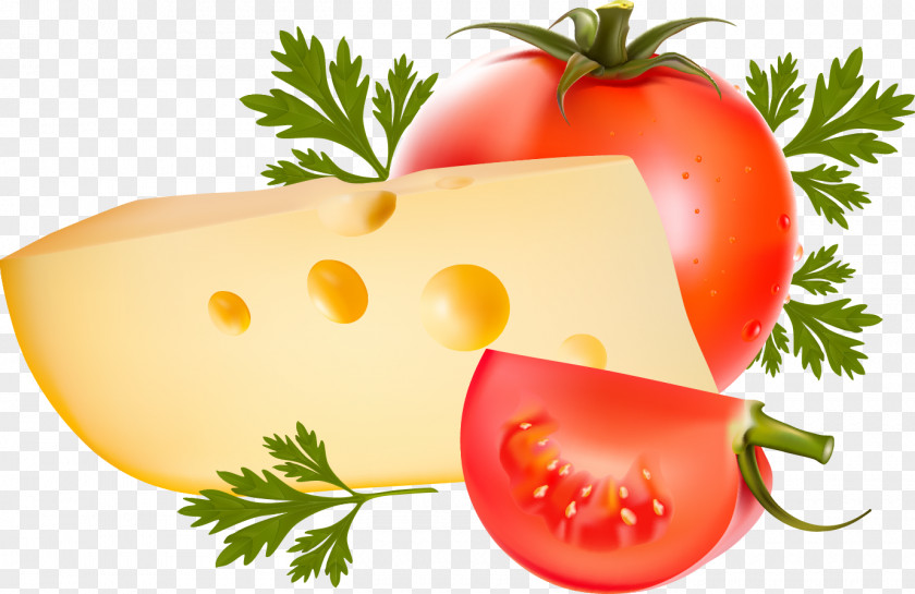 Cheese And Tomato Sandwich Food Clip Art PNG