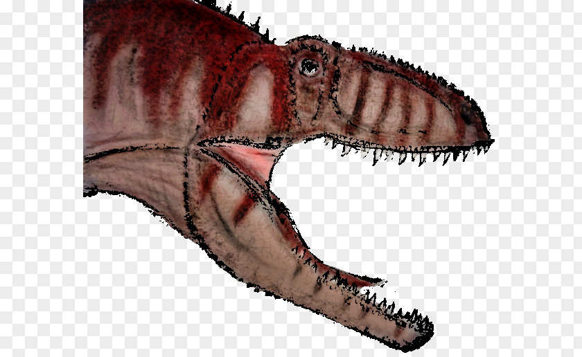 Dinosaur Tyrannosaurus Giganotosaurus Carcharodontosaurus Spinosaurus PNG