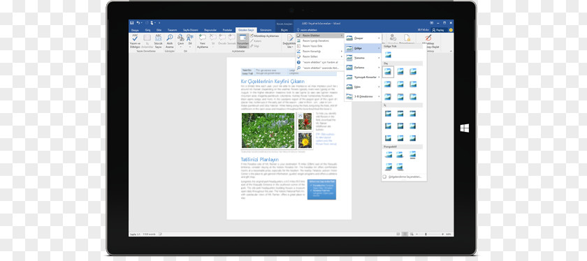 Microsoft Office 365 Word 2016 PNG
