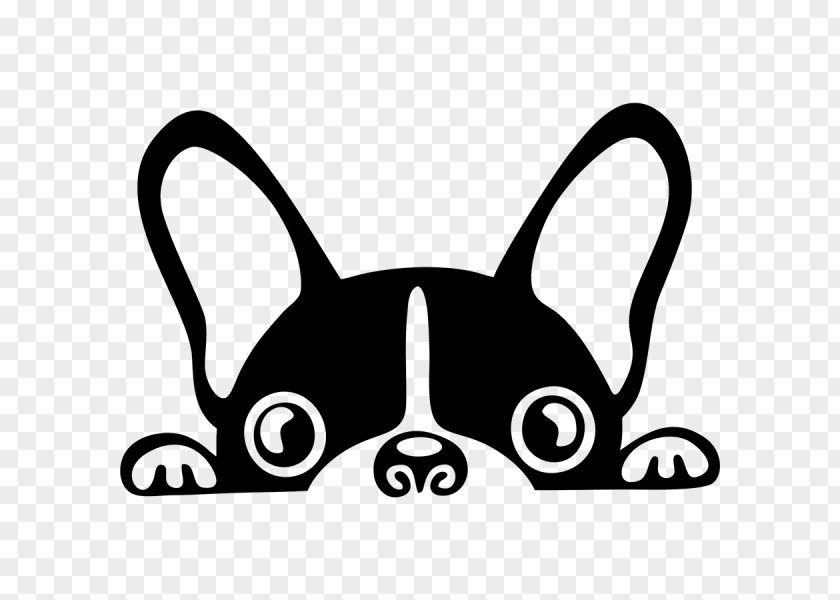 Puppy French Bulldog Boston Terrier Pit Bull PNG
