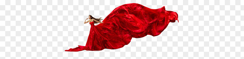 Big Skirt Dress Women Stock Photography Gown Silk Textile PNG