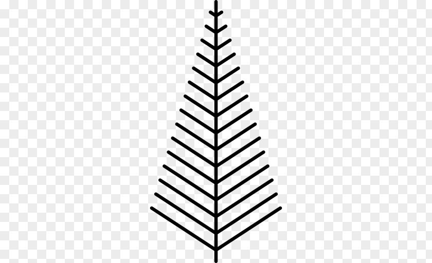 Christmas Tree Pine PNG