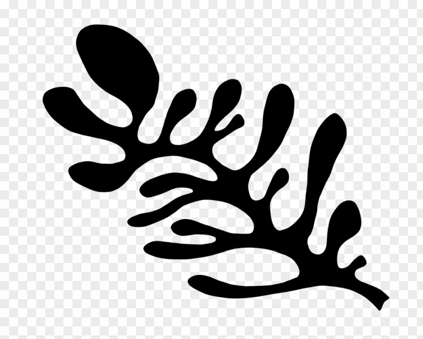 Line Finger Leaf Branching Clip Art PNG