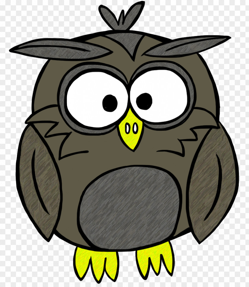 Owl Beak Forest Clip Art PNG