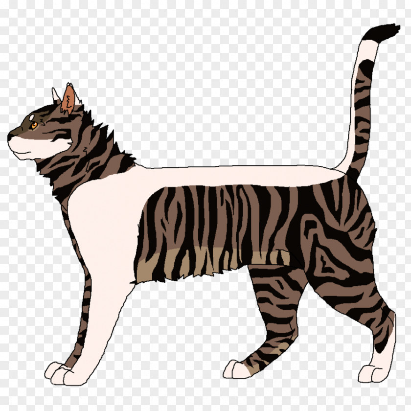 Tiger Whiskers Tabby Cat Domestic Short-haired PNG