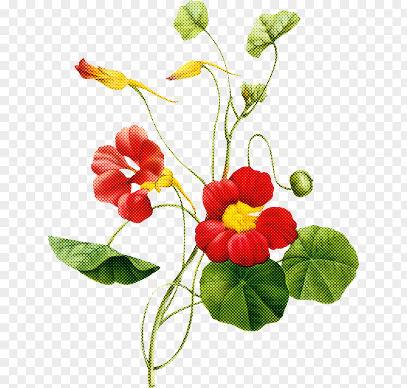 Artificial Flower PNG