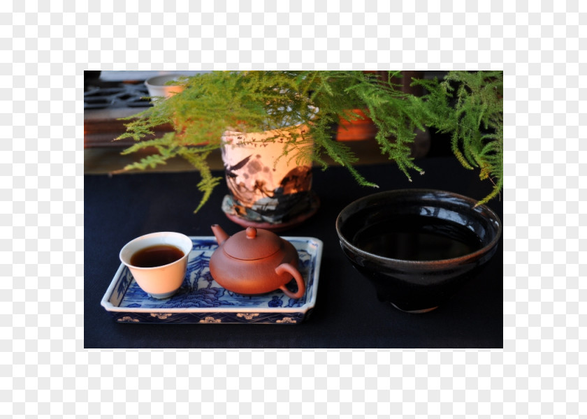 Cup Coffee Ceramic Saucer Flowerpot PNG
