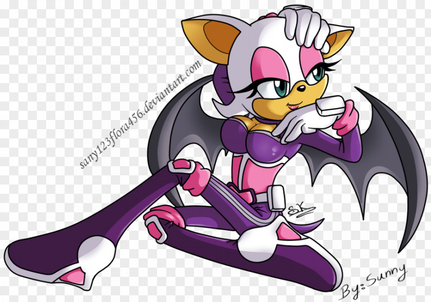 Hero Sonic Heroes Rouge The Bat Blaze Cat Marine Raccoon PNG
