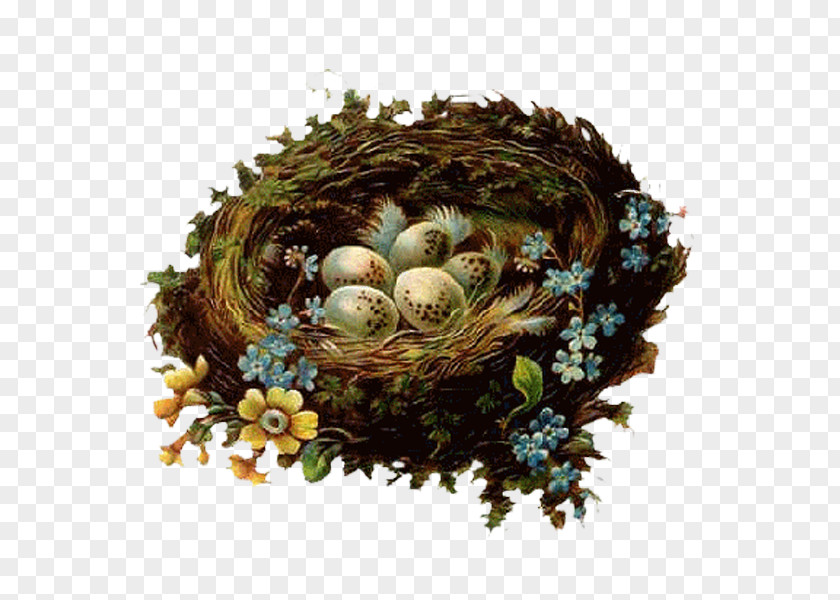 Nest Easter Clip Art PNG