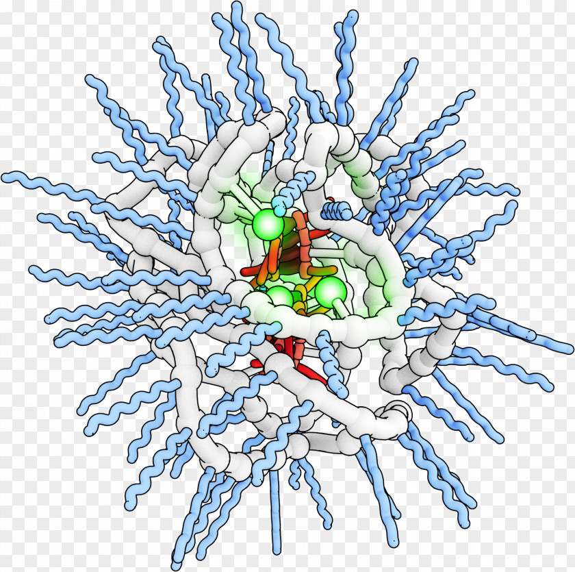 Polymer Chemistry Catalysis Organic PNG