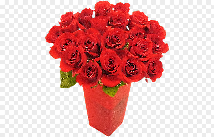 Red Bouquet Flower Garden Roses International Womens Day PNG