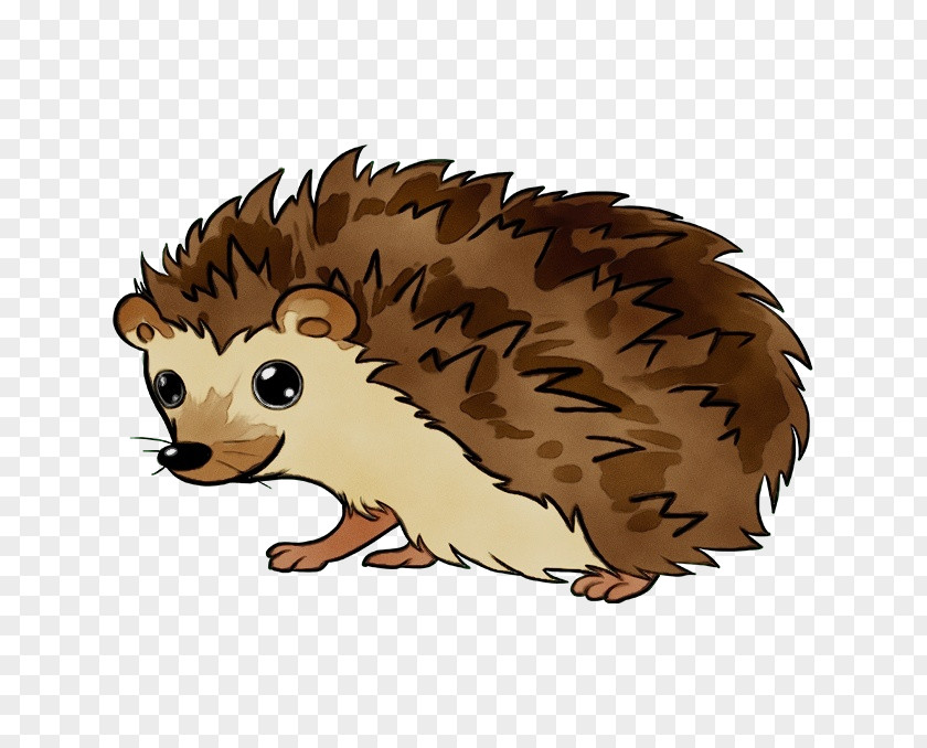 Snout Echidna Hedgehog Erinaceidae Porcupine Cartoon Domesticated PNG