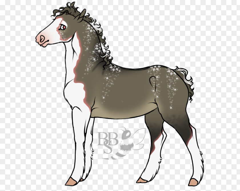 Bbs Poster Mule Foal Mare Stallion Donkey PNG