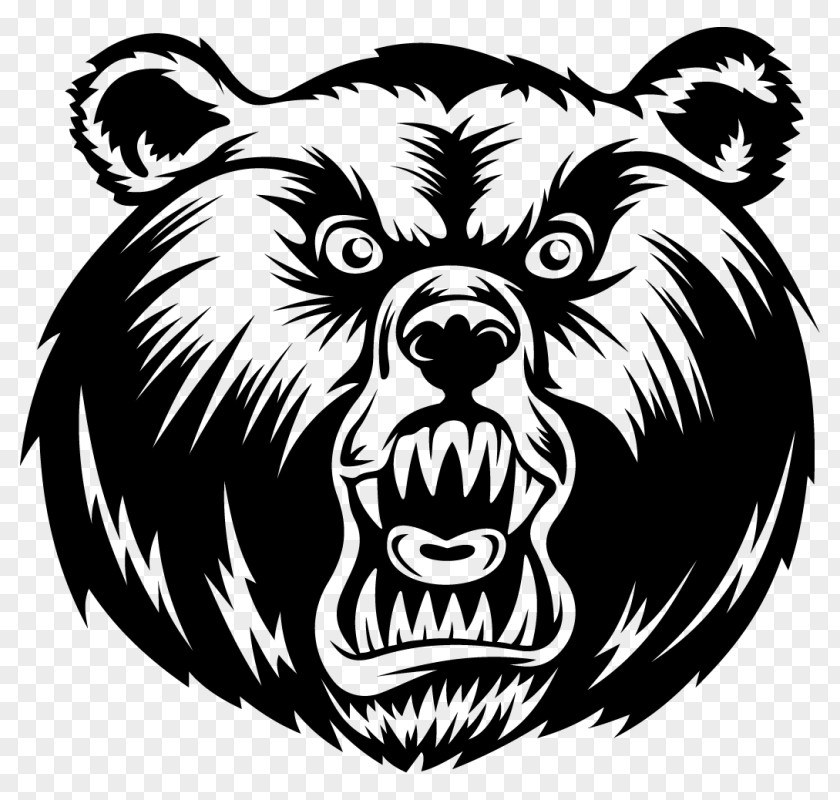 Bear American Black Polar Grizzly PNG