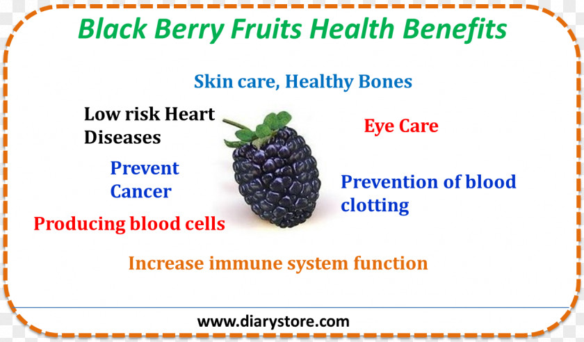 Blackberry Product Fruit Line Font PNG