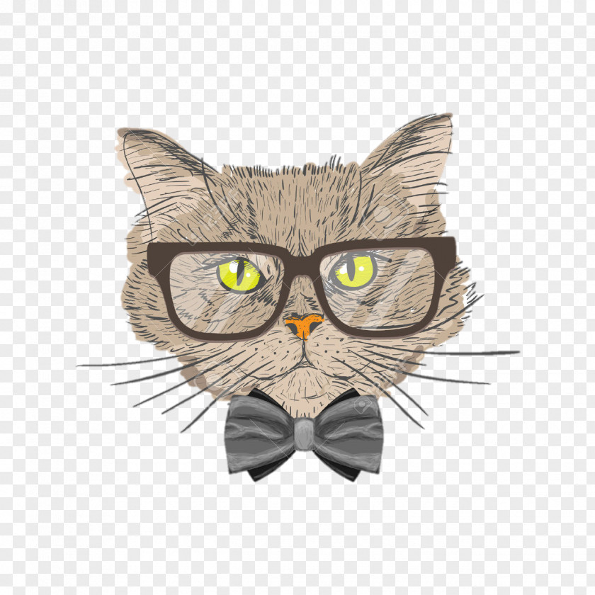 Cat Drawing Art PNG