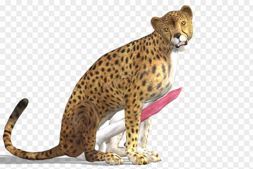 Cheetah Leopard Jaguar PNG