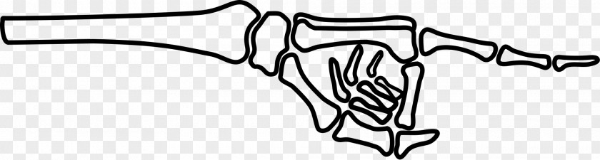 Fingers Human Skeleton Hand Clip Art PNG