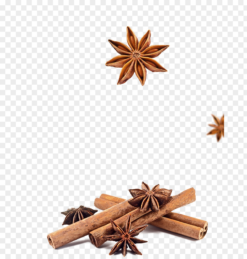 Illicium Verum Spice Cinnamon Apple Pie Indian Cuisine Star Anise PNG