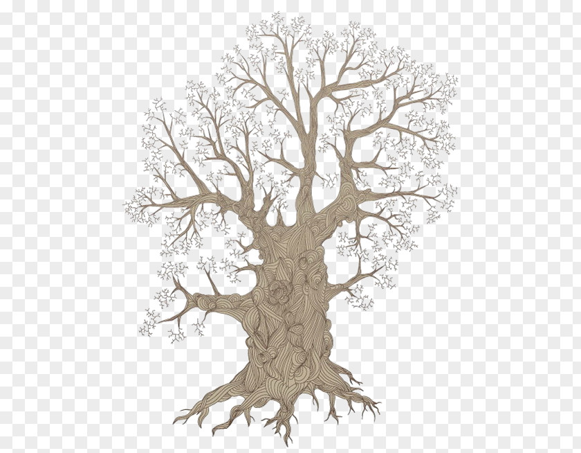 Tree Root Royalty-free PNG