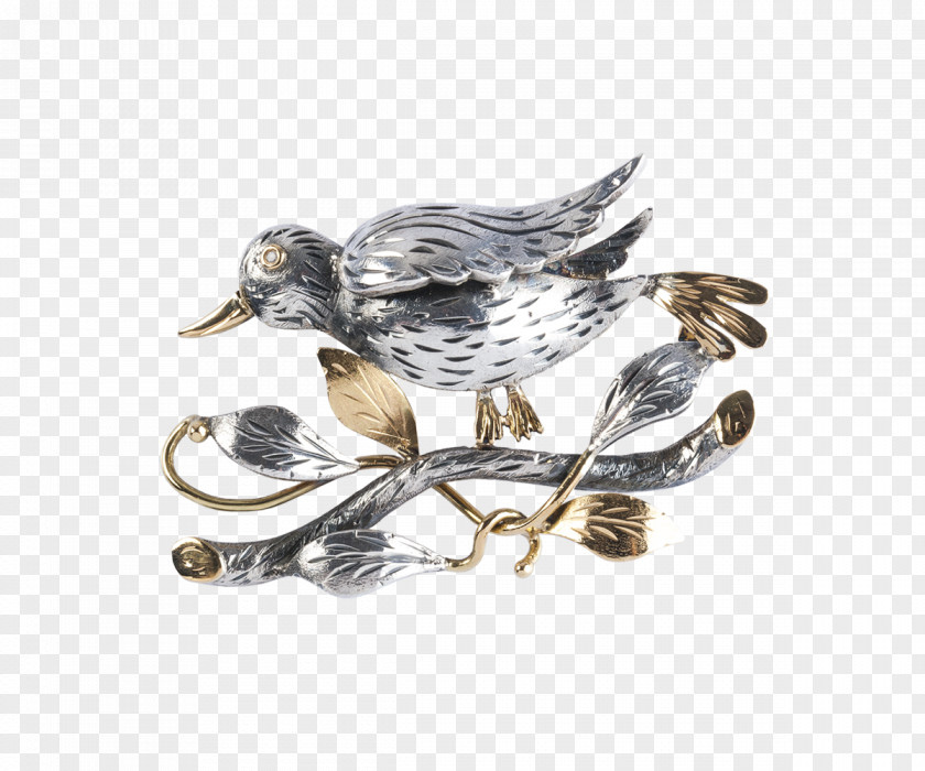 Bird Water Brooch Jewellery Beak PNG