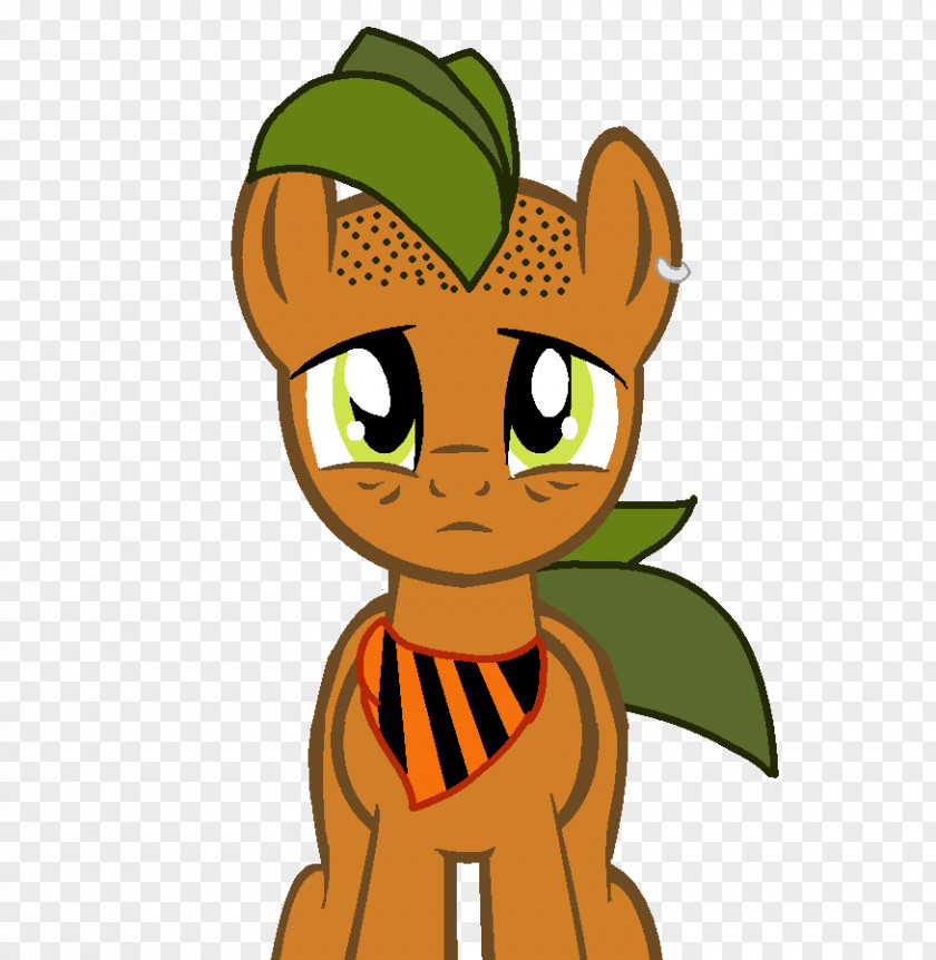 Cat Whiskers Giraffe Mammal Horse PNG