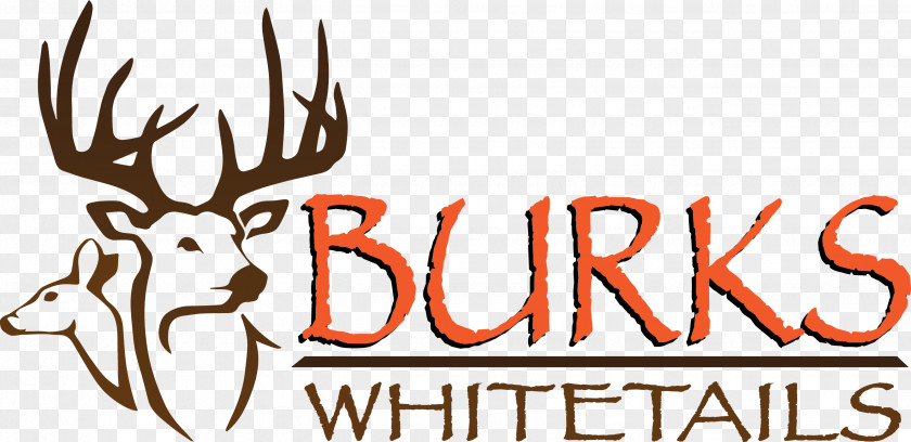 Deer White-tailed Hunting Outfitter PNG