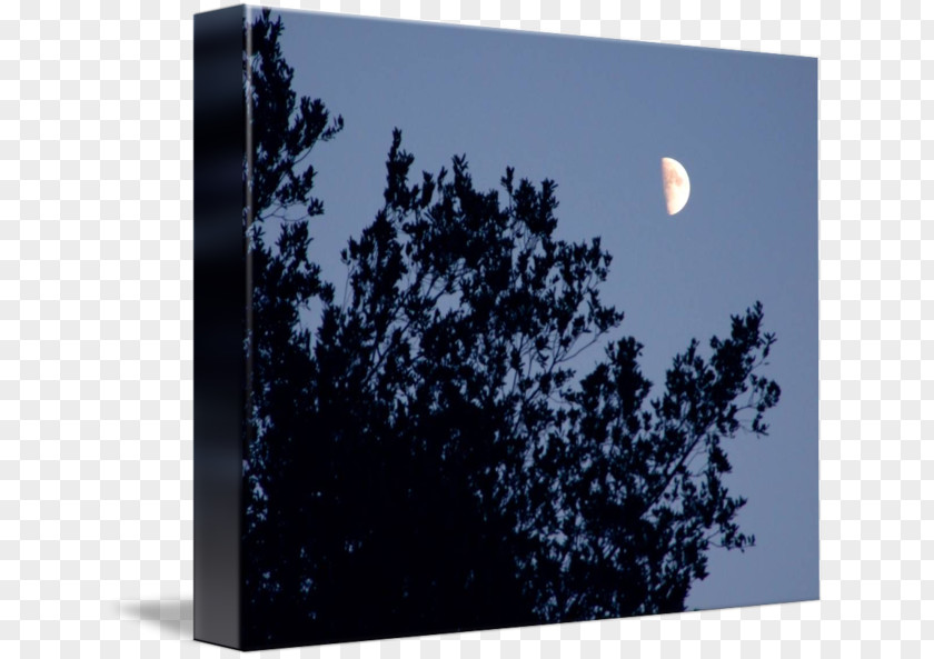 Half Moon Desktop Wallpaper Computer Sky Plc PNG