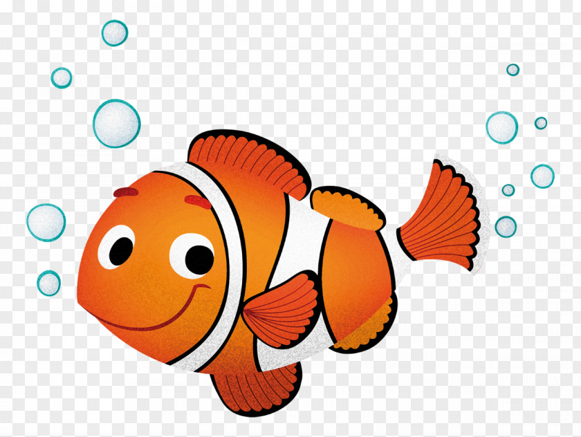 Pesce Drawing Clownfish Child PNG