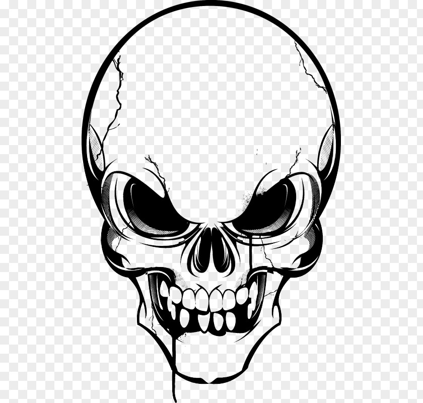 Skull Vector Graphics Clip Art Image Drawing PNG