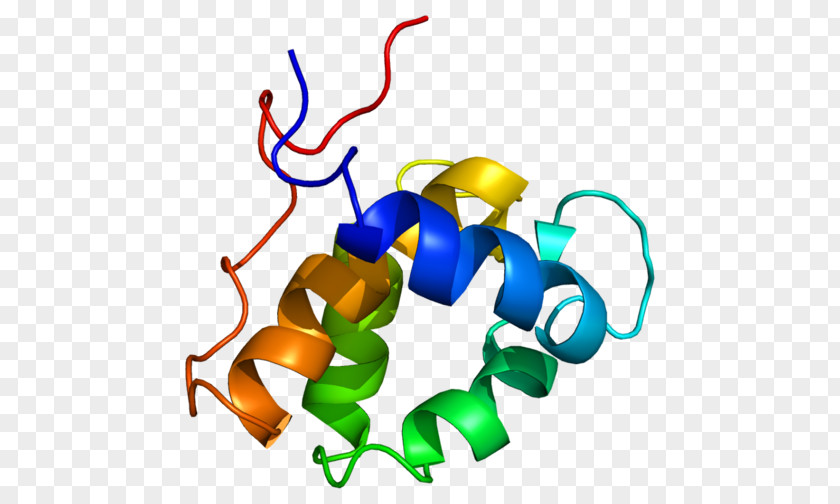 Splice Vector EPS15 Protein Epidermal Growth Factor Receptor Gene PNG