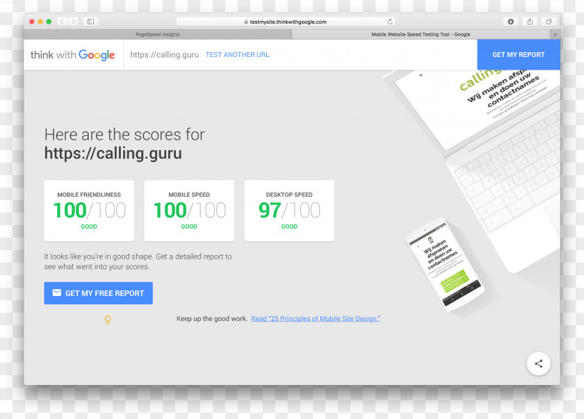 100 Score Computer Program Google PageSpeed Tools Fonts Comedian Web Page PNG