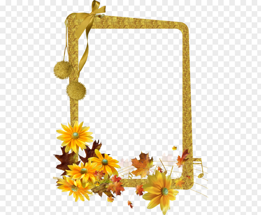 Autumn Picture Frames Floral Design PNG