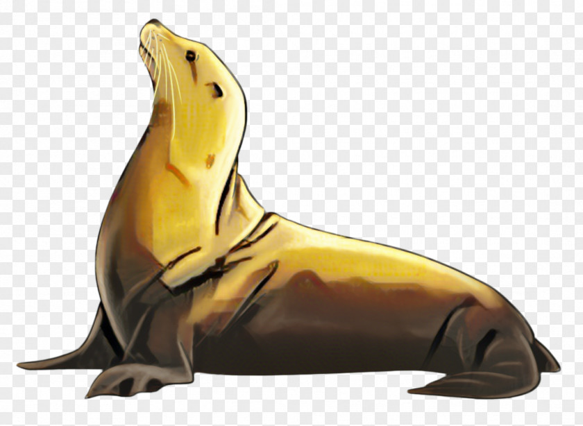 Banana Baltic Gray Seal Cartoon PNG