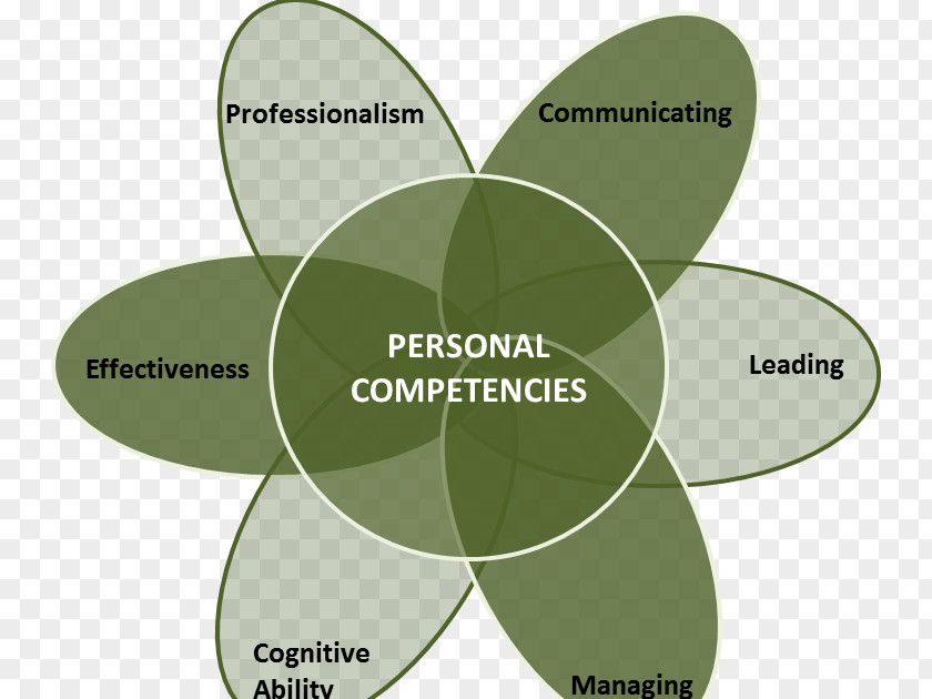 Soft Skills Competence Project Management Skill Projet PNG