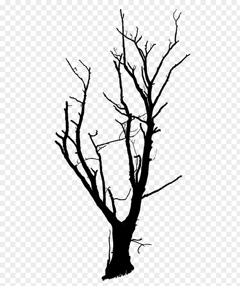 Tree Branch Snag Drawing Clip Art PNG