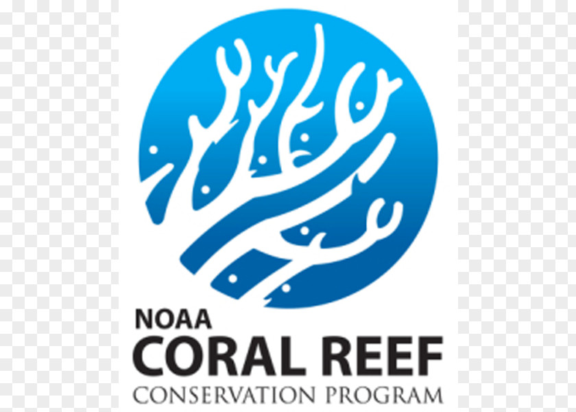 Coral Reef Florida National Oceanic And Atmospheric Administration Protection PNG