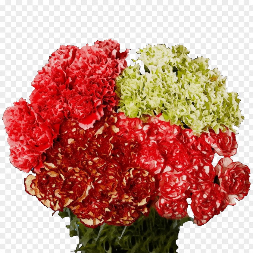 Garden Roses PNG